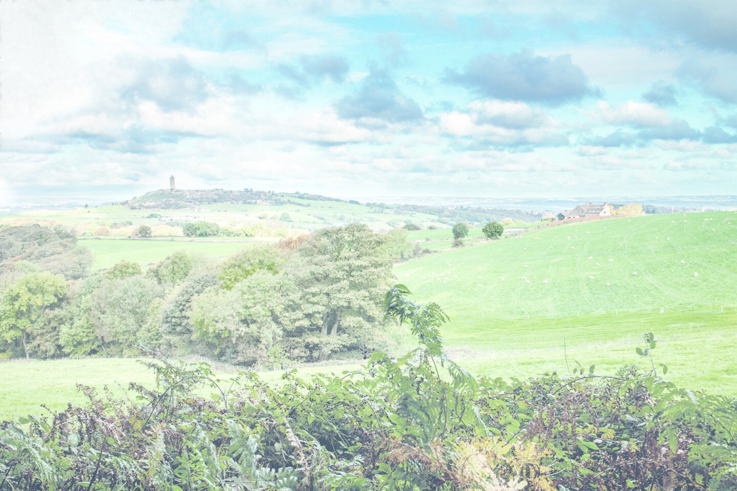 Yorkshire-Landscape-Web-RT.jpg